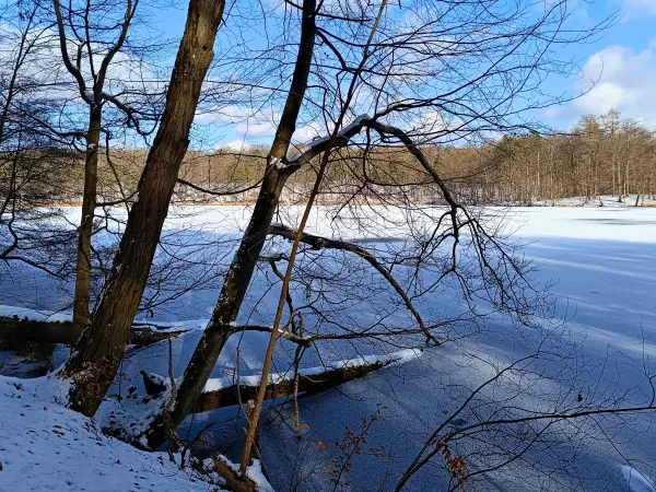 202502150-24 - Hellsee im Biesenthaler Becken, Barnimer Land, Brandenburg, Deutschland