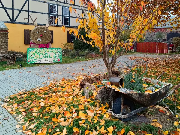 202511080-07 - Herbststimmung in Deetz, Havelland, Brandenburg, Deutschland