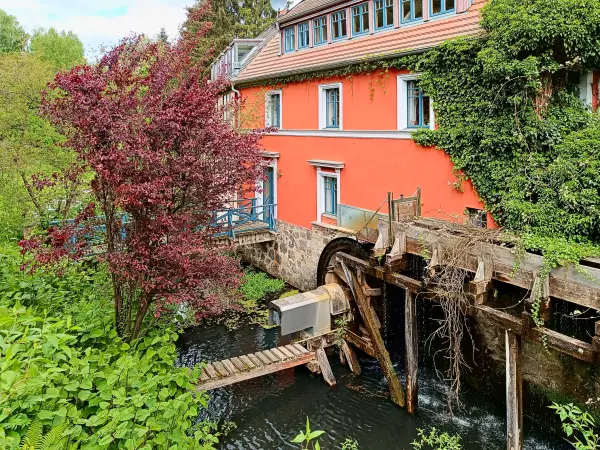202505080-21 - Hermannsmühle bei Bardenitz, Fläming, Brandenburg, Deutschland