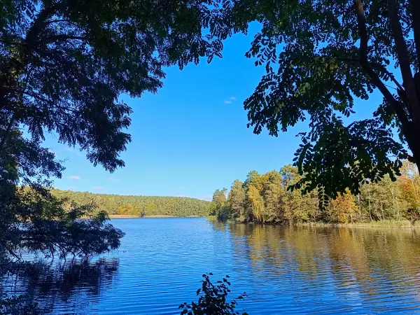 202610190-09 - Herzberger See bei Glienicke, Seenland Oder-Spree, Brandenburg, Deutschland