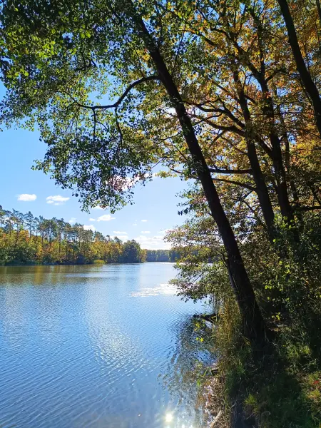 202610190-10 - Herzberger See bei Glienicke, Seenland Oder-Spree, Brandenburg, Deutschland