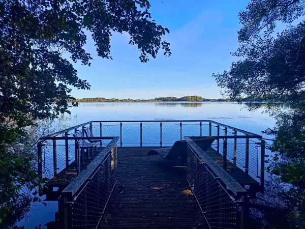 202510130-27 - Himmelssteg im Kurwald bei Krakow am See, Mecklenburgische Seenplatte, Mecklenburg-Vorpommern, Deutschland