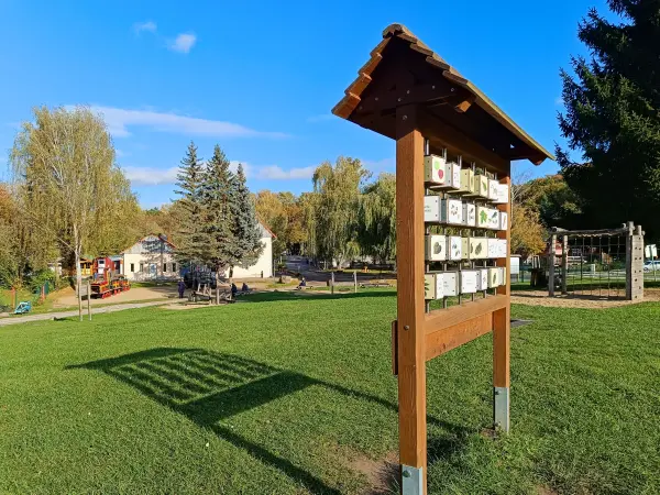 202510210-41 - Hinterste Mühle in Neubrandenburg, Mecklenburgische Seenplatte, Mecklenburg-Vorpommern, Deutschland