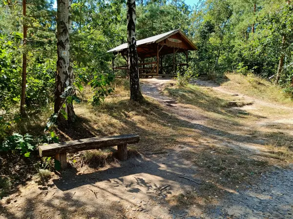 202408260-24 - Hoffmannshöhe am Bergwitzsee, Anhalt-Dessau-Wittenberg, Sachsen-Anhalt, Deutschland