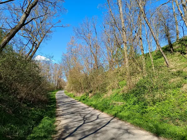 202604150-27 - Hohlweg bei Klessin, Seenland Oder-Spree, Brandenburg, Deutschland