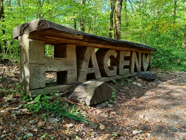 202604210-21 - Holzbank im Stadtwald Hagen, Ruhrgebiet, Nordrhein-Westfalen, Deutschland