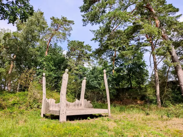 202308050-11 - Holzbett in der Brautrummel bei Grubo, Fläming, Brandenburg, Deutschland