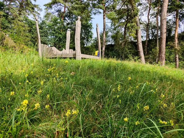 202308050-14 - Holzbett in der Brautrummel bei Grubo, Fläming, Brandenburg, Deutschland