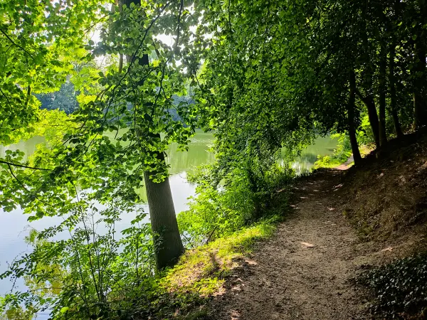 202308220-01 - Horstsee in Stade, Niedersachsen, Deutschland
