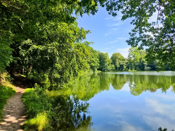 202308220-02 - Horstsee in Stade, Niedersachsen, Deutschland