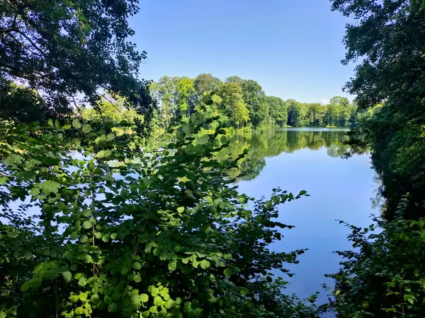 202308220-03 - Horstsee in Stade, Niedersachsen, Deutschland