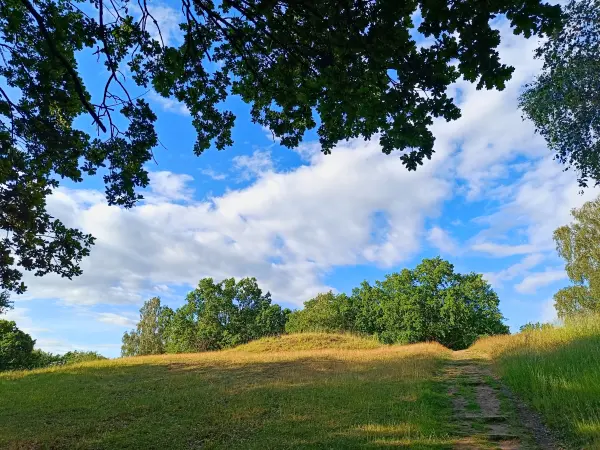202606090-20 - Hügelgrab auf dem Hauptmannsberg bei Carwitz, Mecklenburgische Seenplatte, Mecklenburg-Vorpommern, Deutschland
