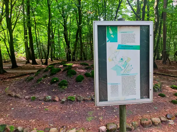 202308190-34 - Hügelgrab in der Fischbeker Heide, Hamburg, Deutschland