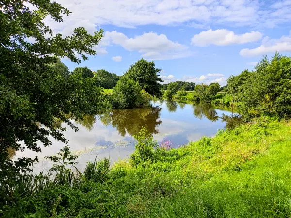 202308160-15 - Hunte bei Tungeln, Oldenburger Land, Niedersachsen, Deutschland