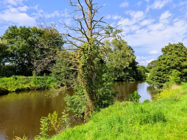 202308160-17 - Hunte bei Tungeln, Oldenburger Land, Niedersachsen, Deutschland