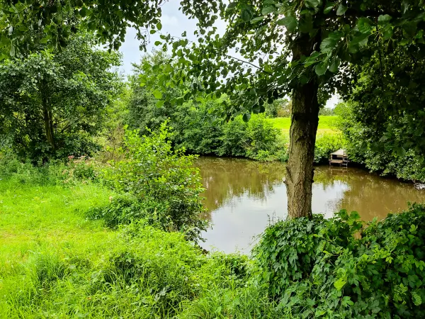 202308160-04 - Hunte bei Wardenburg, Oldenburger Land, Niedersachsen, Deutschland