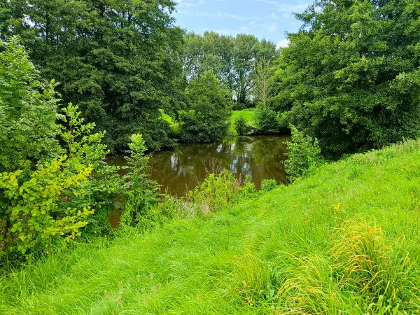 202308160-13 - Hunte bei Wardenburg, Oldenburger Land, Niedersachsen, Deutschland