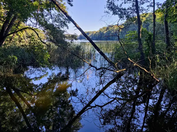 202309040-25 - Huwenowsee bei Meseberg, Ruppiner Seenland, Brandenburg, Deutschland