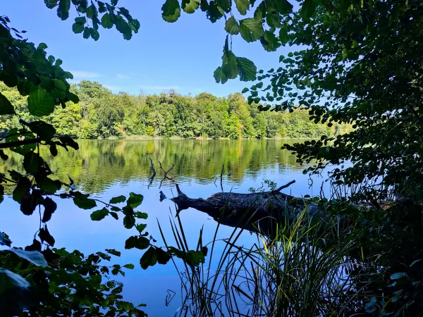 202309040-27 - Huwenowsee bei Meseberg, Ruppiner Seenland, Brandenburg, Deutschland