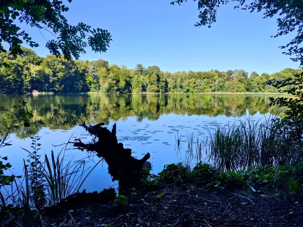 202309040-29 - Huwenowsee bei Meseberg, Ruppiner Seenland, Brandenburg, Deutschland