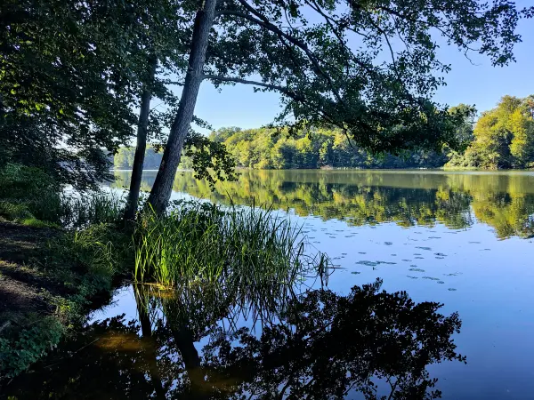202309040-30 - Huwenowsee bei Meseberg, Ruppiner Seenland, Brandenburg, Deutschland