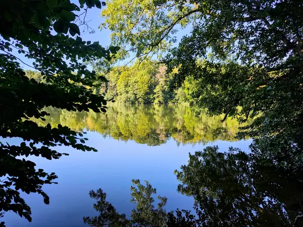 202309040-31 - Huwenowsee bei Meseberg, Ruppiner Seenland, Brandenburg, Deutschland