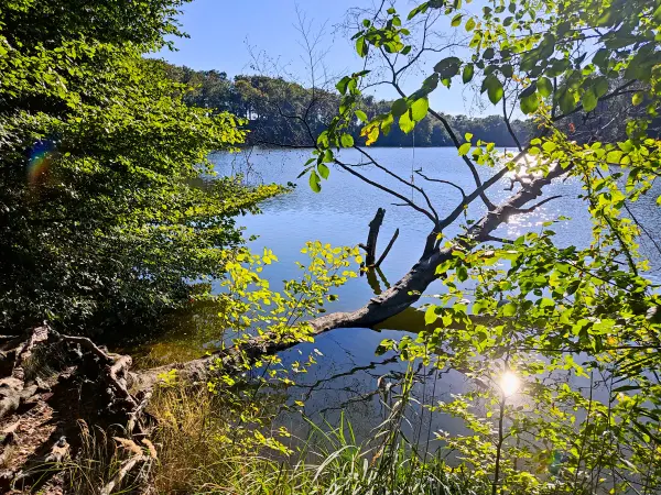 202309040-32 - Huwenowsee bei Meseberg, Ruppiner Seenland, Brandenburg, Deutschland