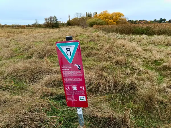 202410210-24 - Ilmenau-Luhe-Niederung bei Winsen (Luhe), Lüneburger Heide, Niedersachsen, Deutschland