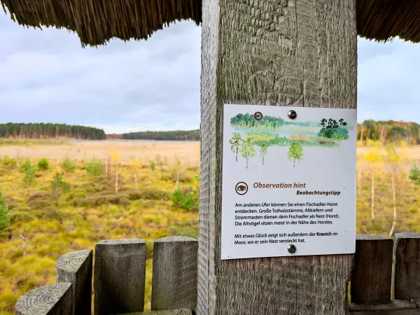 202311060-23 - Informatiionstafel am Großen Serrahnsee im Müritz-Nationalpark bei Carpin, Mecklenburgische Seenplatte, Mecklenburg-Vorpommern, Deutschland