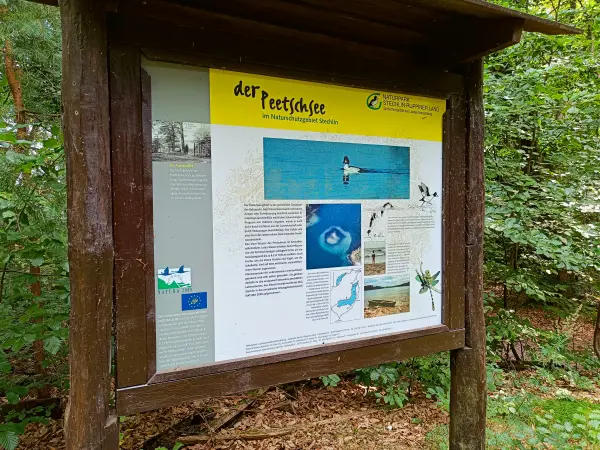 202509010-18 - Informationstafel am Peetschsee im NSG Stechlin, Ruppiner Seenland, Brandenburg, Deutschland
