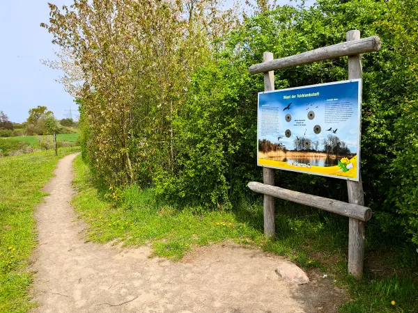 202304280-22 - Informationstafel an den Schönerlinder Teichen bei Mönchmühle, Barnimer Land, Brandenburg, Deutschland