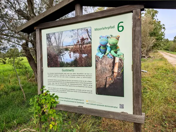 202310060-28 - Informationstafel bei Raddusch, Spreewald, Brandenburg, DeutschandSpr