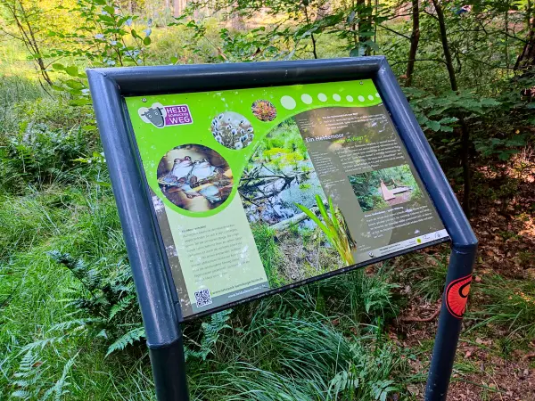 202308240-19 - Informationstafel im Büsenbachtal, Lüneburger Heide, Niedersachsen, Deutschland