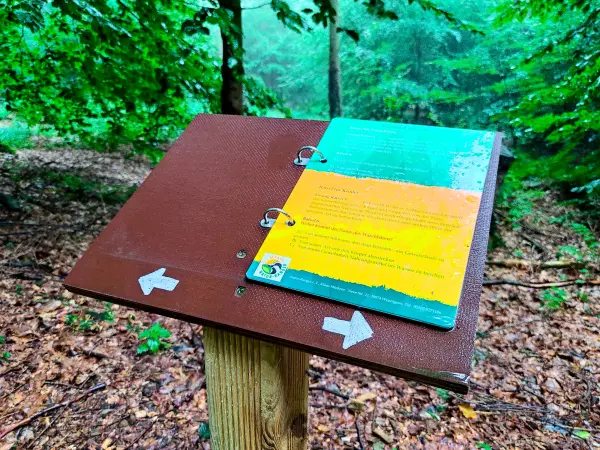 202308180-12 - Informationstafel im Deister, Weserbergland, Niedersachsen, Deutschland