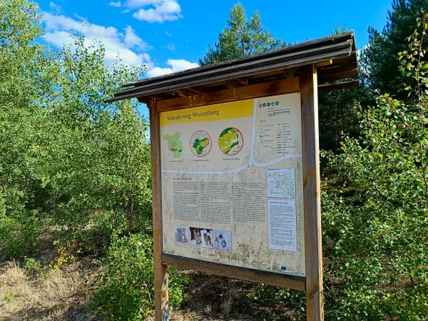 202508180-14 - Informationstafel im Wildnisgebiet Jüterbog bei Luckenwalde, Fläming, Brandenburg, Deutschland