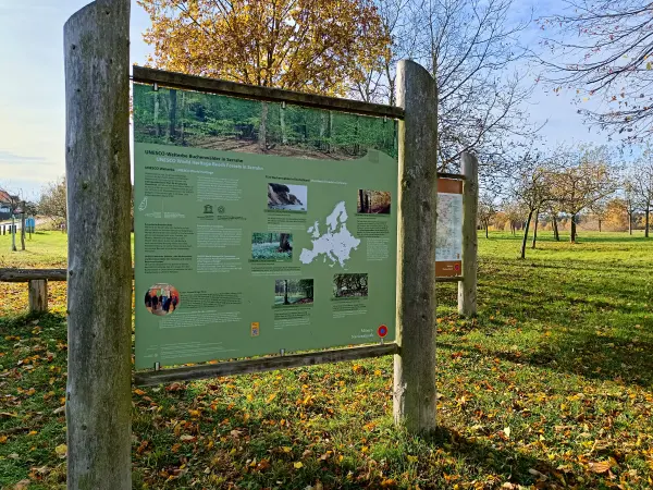 202511040-02 - Informationstafel in Carpin, Mecklenburgische Seenplatte, Mecklenburg-Vorpommern, Deutschland