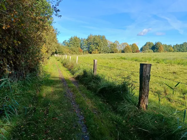 202510130-14 - Insel Schwerin bei Krakow am See, Mecklenburgische Seenplatte, Mecklenburg-Vorpommern, Deutschland