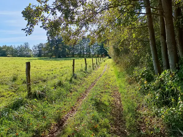 202510130-17 - Insel Schwerin bei Krakow am See, Mecklenburgische Seenplatte, Mecklenburg-Vorpommern, Deutschland