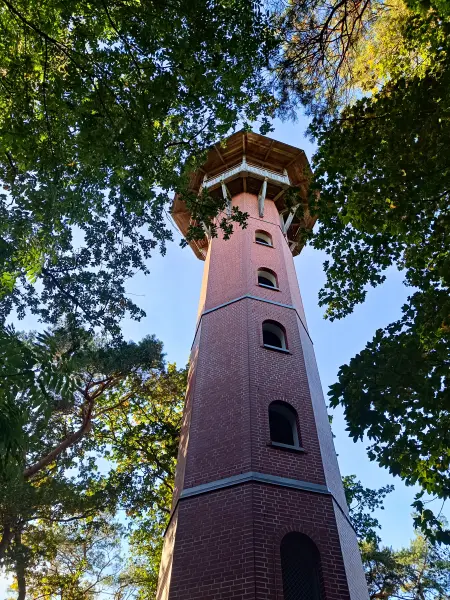 202510130-36 - Jörnbergturm bei Krakow am See, Mecklenburgische Seenplatte, Mecklenburg-Vorpommern, Deutschland