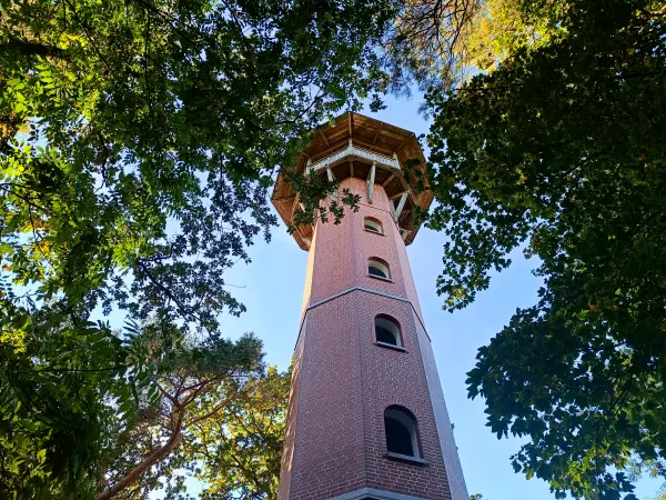 202510130-37 - Jörnbergturm bei Krakow am See, Mecklenburgische Seenplatte, Mecklenburg-Vorpommern, Deutschland