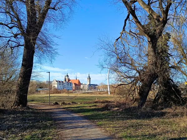 202603030-19 - Johannbau und Marienkirche in Dessau, Anhalt-Dessau-Wittenberg, Sachsen-Anhalt, Deutschland