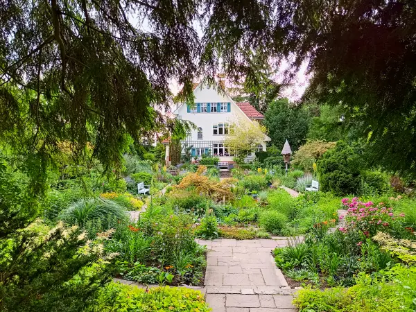 202506250-20 - Karl-Foerster-Garten, Potsdam, Brandenburg, Deutschland