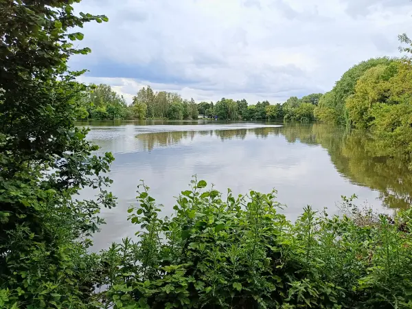 202506070-03 - Karpfenteich in Pankow, Berlin, Deutschland