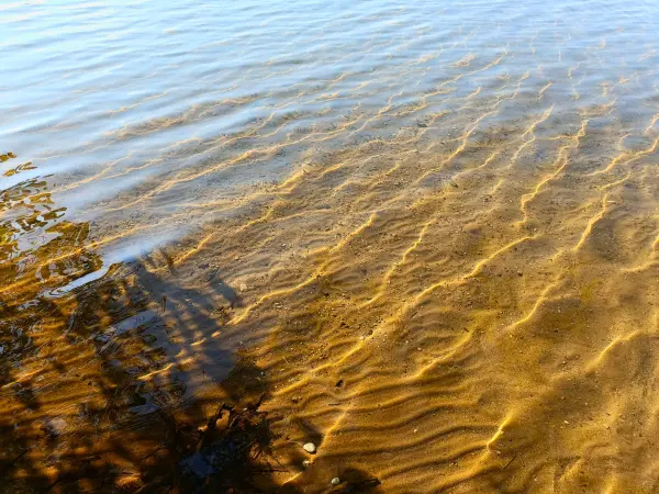 202408260-32 - Klares Wasser im Bergwitzsee, Anhalt-Dessau-Wittenberg, Sachsen-Anhalt, Deutschland