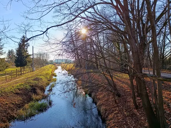 202512150-17 - Kleine Elster in Doberlug-Kirchhain, Elbe-Elster-Land, Brandenburg, Deutschland