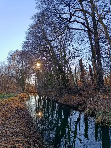 202512150-18 - Kleine Elster in Doberlug-Kirchhain, Elbe-Elster-Land, Brandenburg, Deutschland