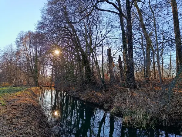 202512150-19 - Kleine Elster in Doberlug-Kirchhain, Elbe-Elster-Land, Brandenburg, Deutschland