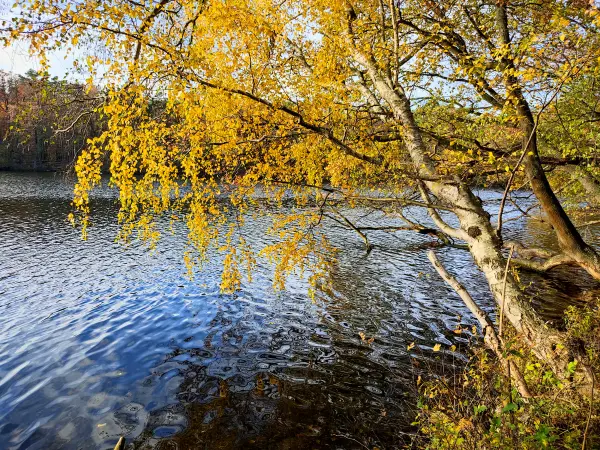 202311130-32 - Kleine Krampe bei Müggelheim, Berlin, Deutschland