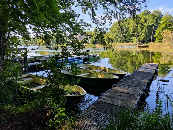 202309160-01 - Kleiner Glubigsee bei Wendisch Rietz, Seenland Oder-Spree, Brandenburg, Deutschland
