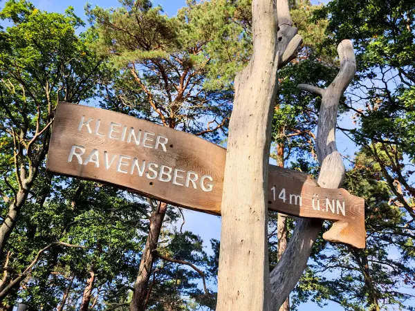 202310140-14 - Kleiner Ravensberg im Erholungswald Ravensberge, Potsdam, Brandenburg, Deutschland